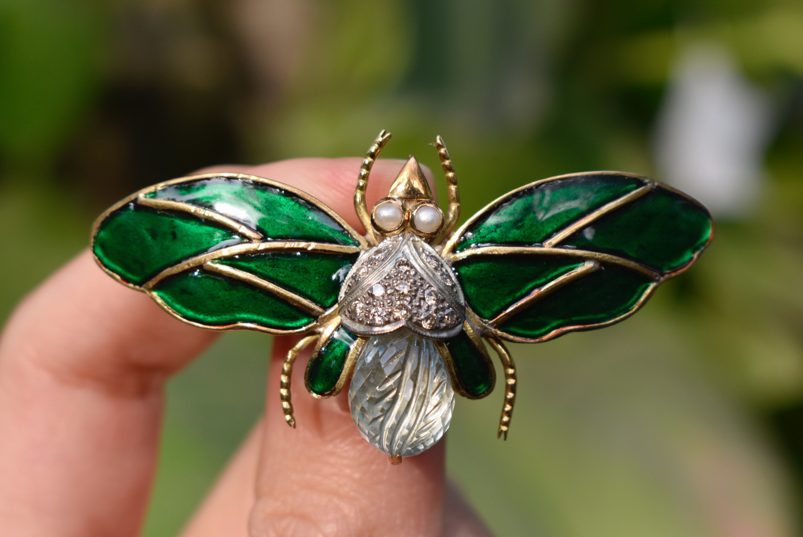 Enamel Moth